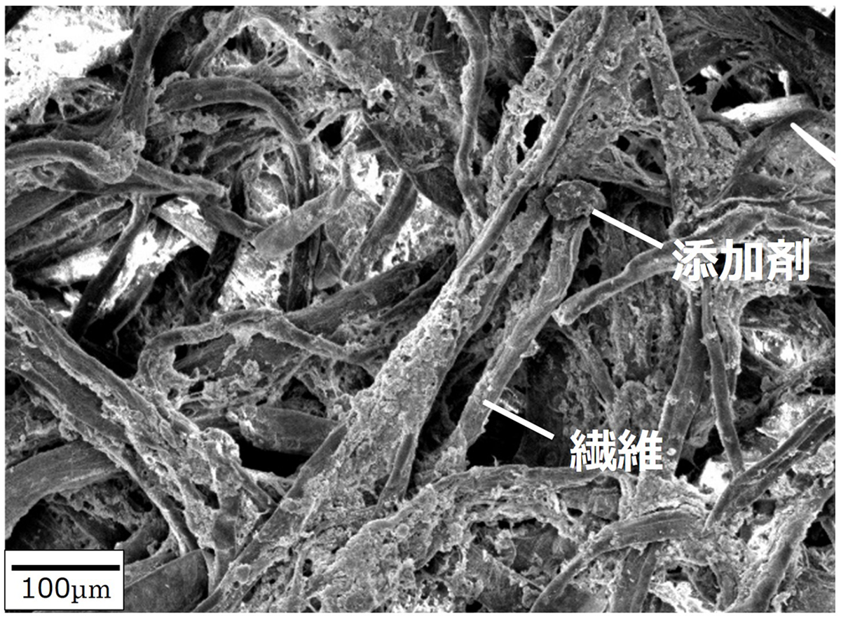 図4　フィルターの電子顕微鏡写真
