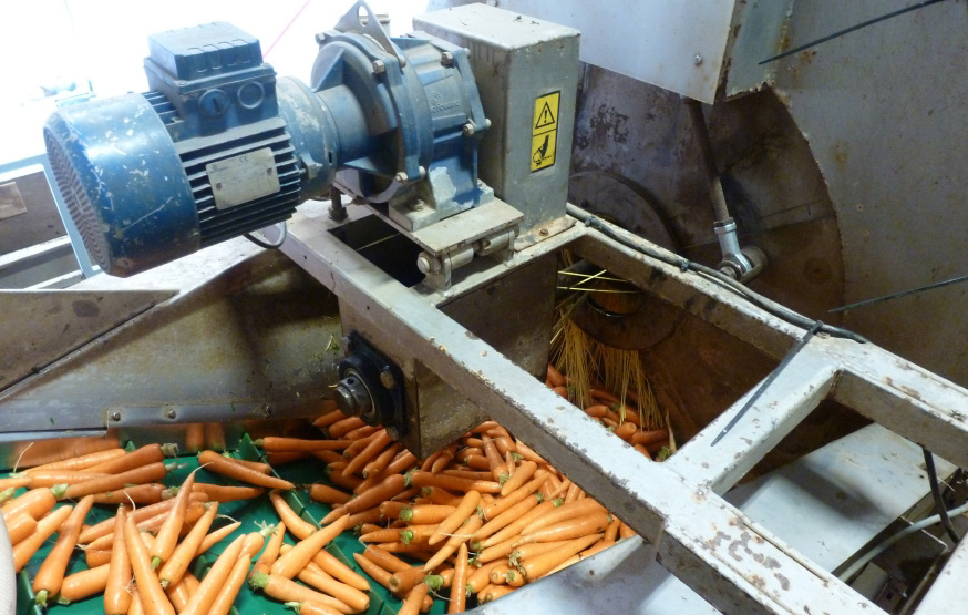 NSK’s Life-Lube® bearing units in a carrot washing application
