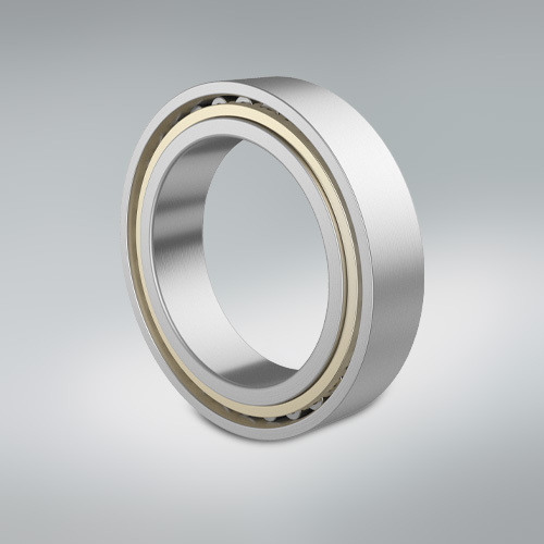 Cylindrical Roller Bearing - Large gear